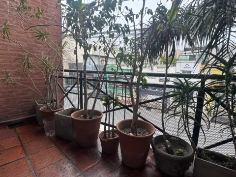 PH VENTA o ALQUILER cochera para dos autos BALCON/ PATIO/TERRAZA. TRIPLEX — foto 11