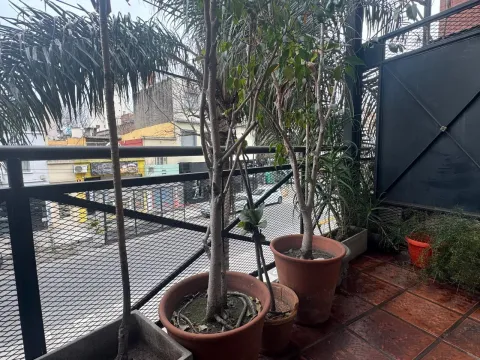 PH VENTA o ALQUILER cochera para dos autos BALCON/ PATIO/TERRAZA. TRIPLEX — foto 10