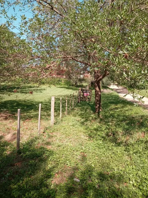 Terreno en venta - Santa Rosa De Calamuchita - Santa Rosa del Río — foto 4