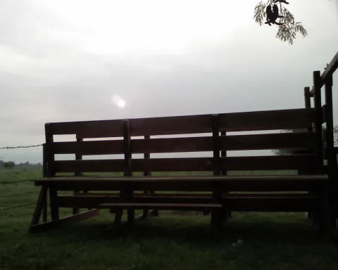 Campo Mixto de 37 Hectareas - Marcos Paz UNICO!!! — foto 7